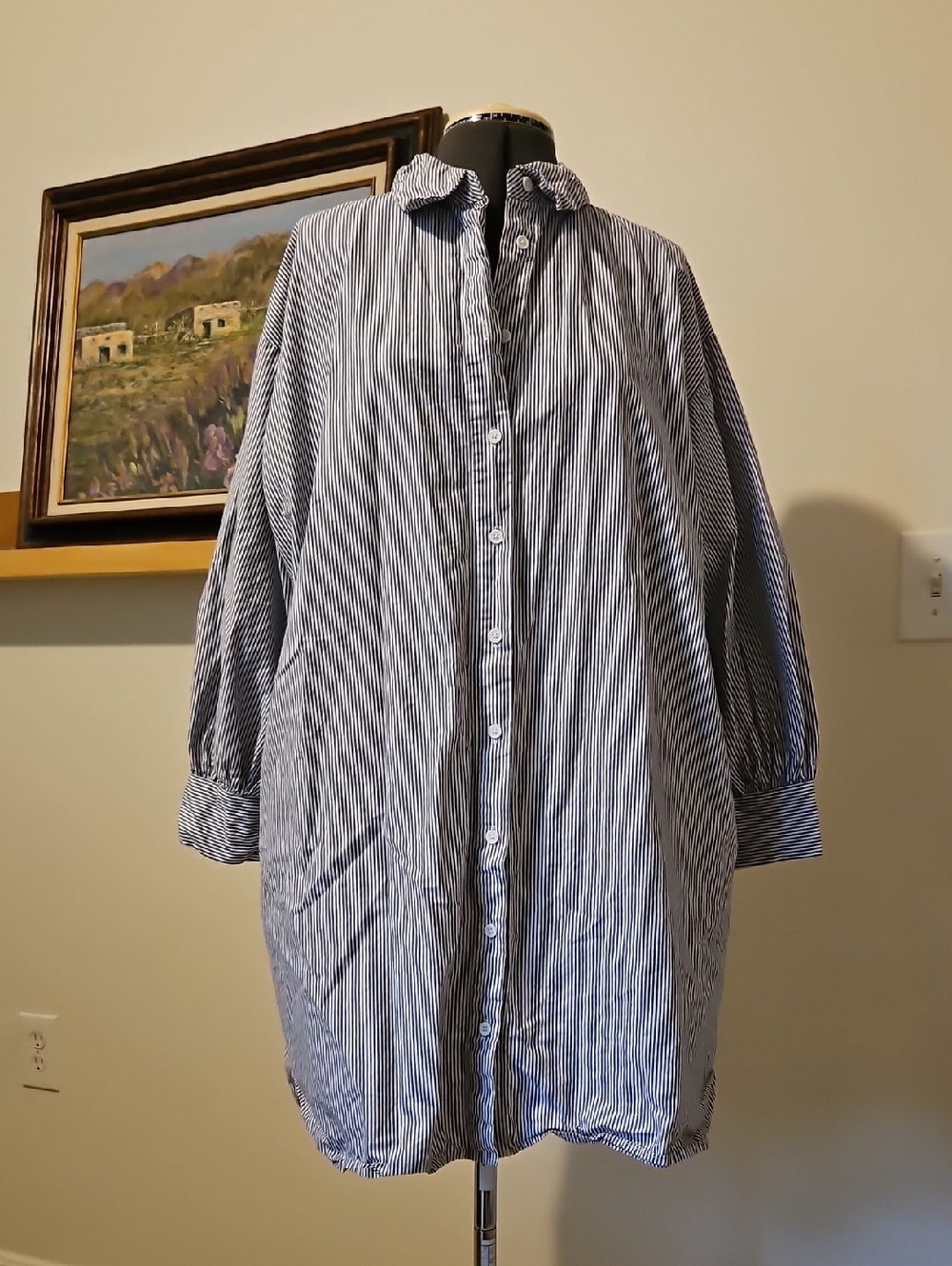 Striped Blue & White Button-Up Shirt Dress